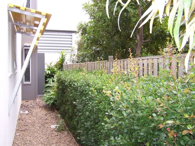 Unit 11 Whale Cove, 68 Pulgul Street, Urangan QLD 4655