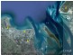 14 Mylne Court, Torquay QLD 4655