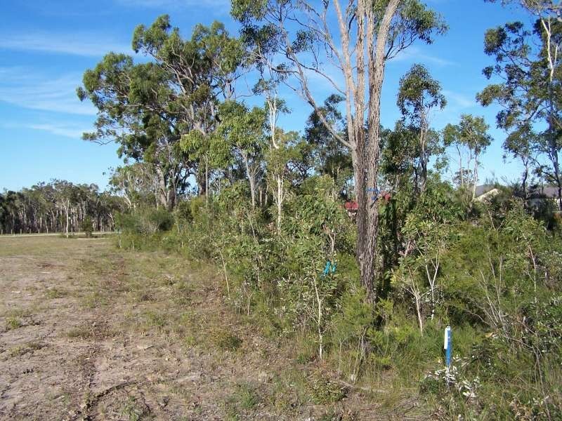 Level Lot 19 Kingsbarn Drive, Wondunna QLD 4655