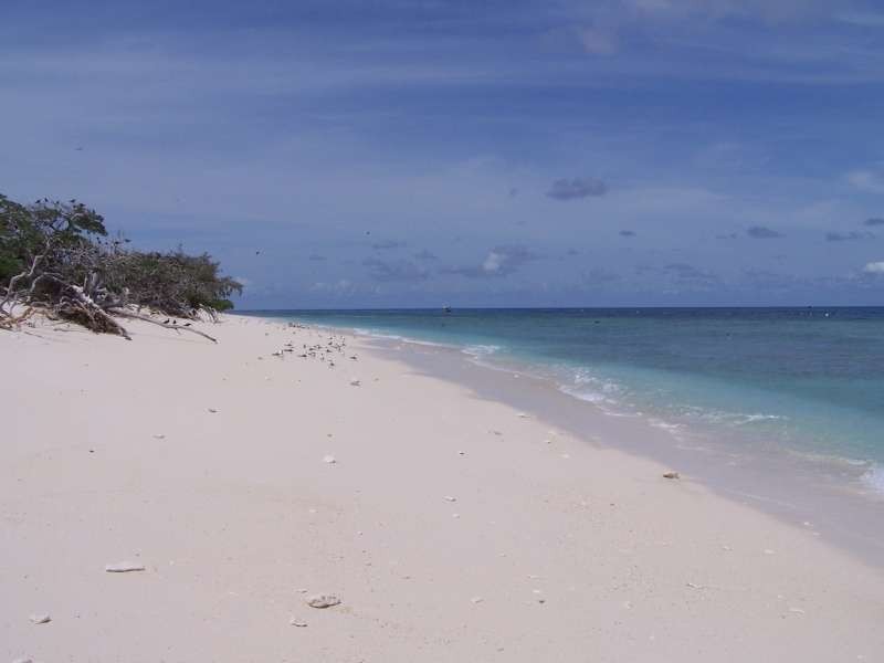 Level 4 410/637 Charlton Esplanade, Urangan QLD 4655