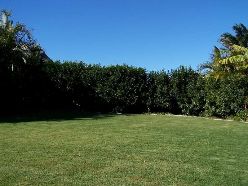 58 Murphy Street, Point Vernon QLD 4655