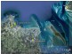 14 Oceanblue Boulevard, Pialba QLD 4655