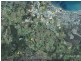 260 Moes Road, Walligan QLD 4655