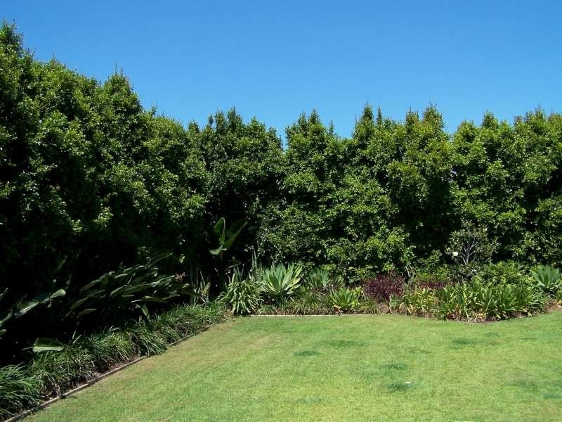 Point Vernon QLD 4655