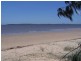 Urangan QLD 4655