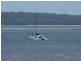 Urangan QLD 4655