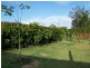 Urraween QLD 4655