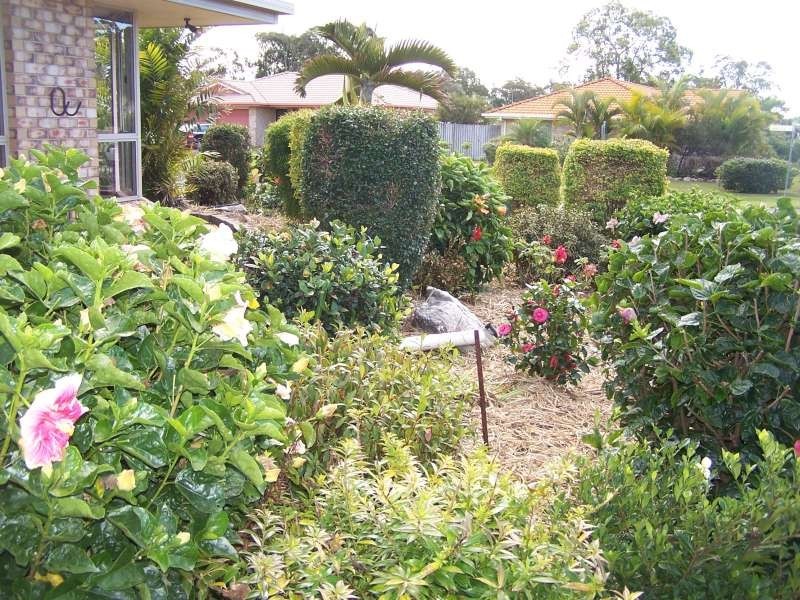 57 Snapper Street, Kawungan QLD 4655