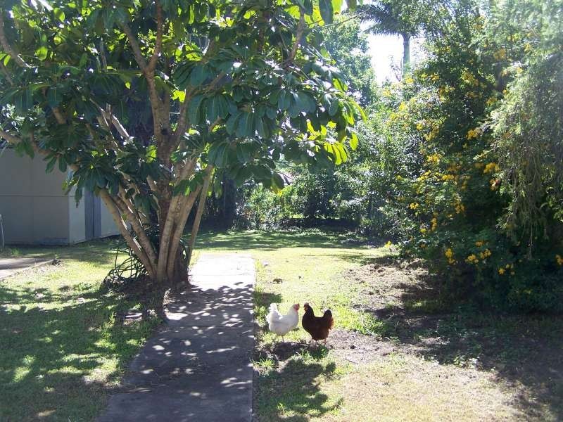 346 Boat Harbour Drive, Scarness QLD 4655