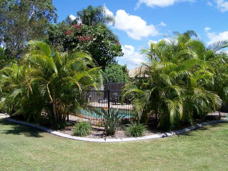 5 Bloodwood Court, Kawungan QLD 4655