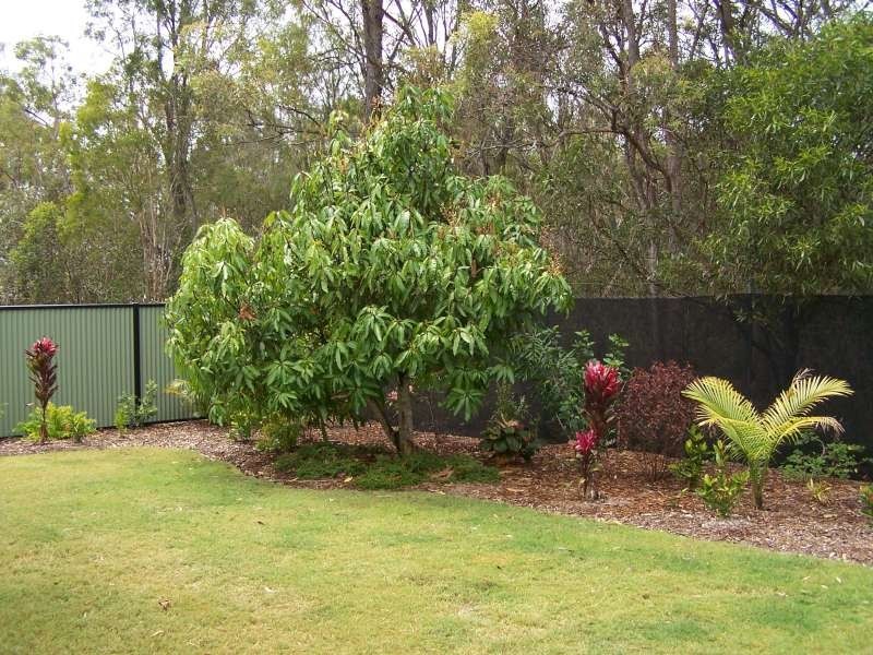 72 Honiton Street, Torquay QLD 4655