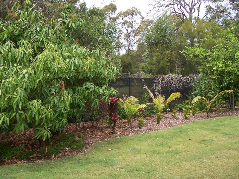 72 Honiton Street, Torquay QLD 4655