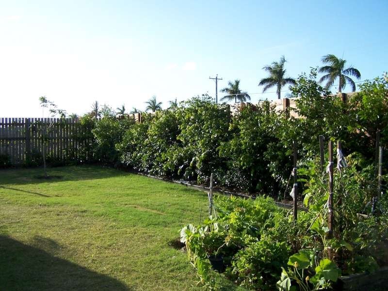 13 Magellan Circuit, Urraween QLD 4655