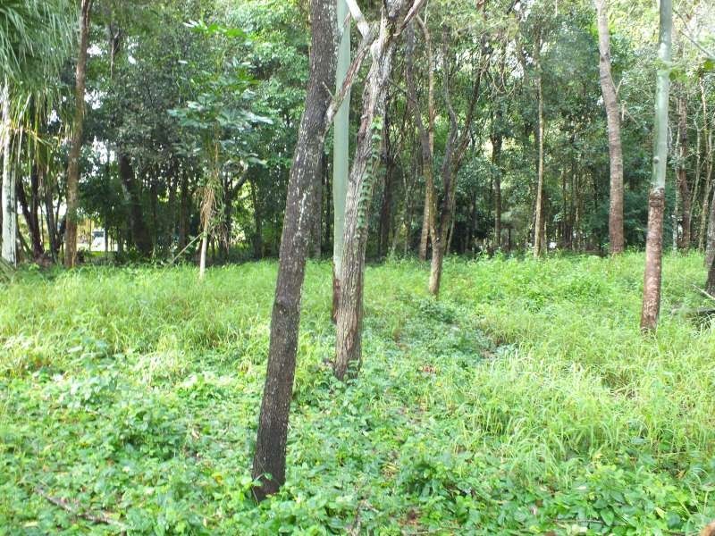 9 Foxwood Court, Dundowran Beach QLD 4655