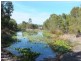 11 Parklands Boulevard, Wondunna QLD 4655
