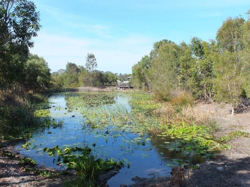 11 Parklands Boulevard, Wondunna QLD 4655