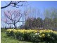 110 Brays Road, Sheffield TAS 7306