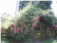 110 Brays Road, Sheffield TAS 7306