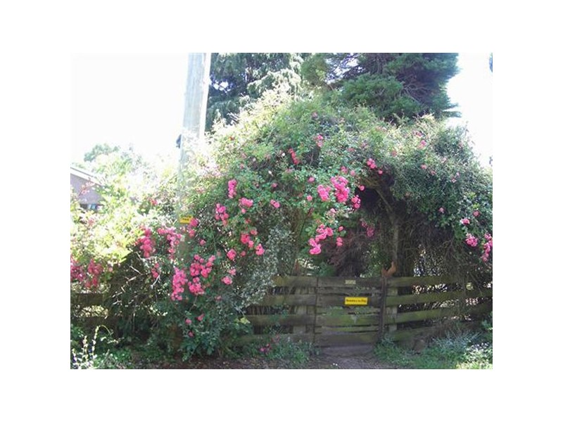 110 Brays Road, Sheffield TAS 7306