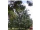 110 Brays Road, Sheffield TAS 7306