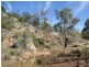 NA Section 367 Hnd of Woolundunga, Quorn SA 5433