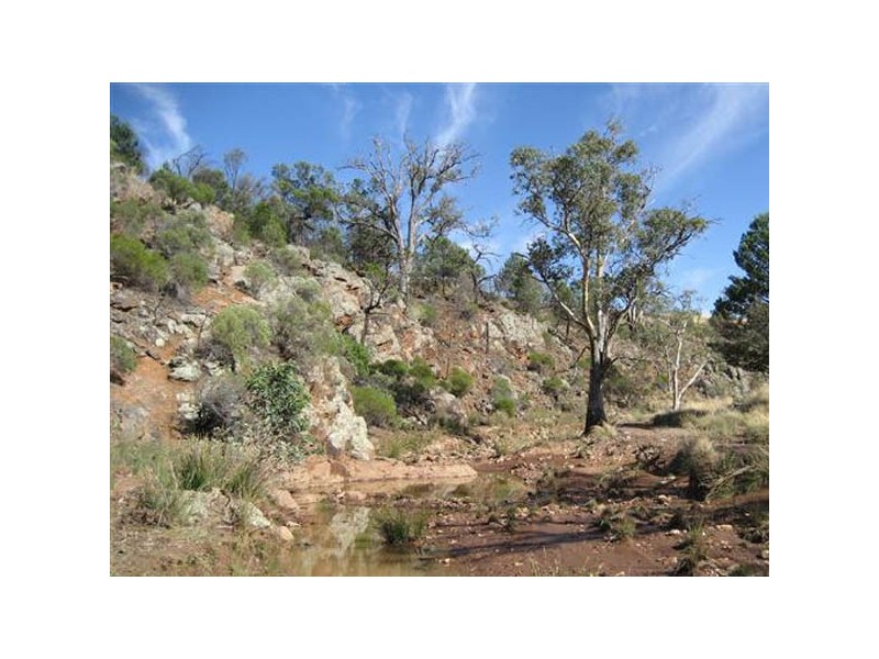 NA Section 367 Hnd of Woolundunga, Quorn SA 5433