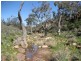 NA Section 367 Hnd of Woolundunga, Quorn SA 5433