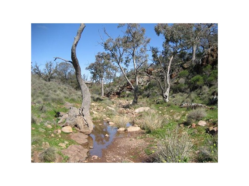 NA Section 367 Hnd of Woolundunga, Quorn SA 5433