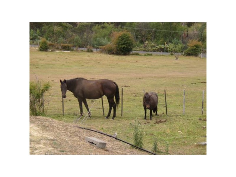 283  Church Road, Dromedary TAS 7030