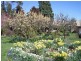 110 Brays Road, Sheffield TAS 7306
