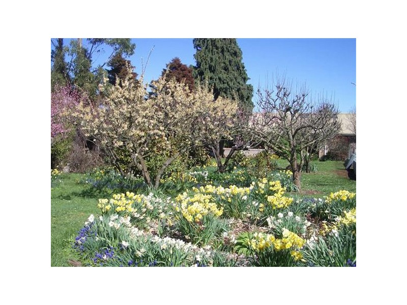 110 Brays Road, Sheffield TAS 7306
