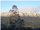 110 Brays Road, Sheffield TAS 7306