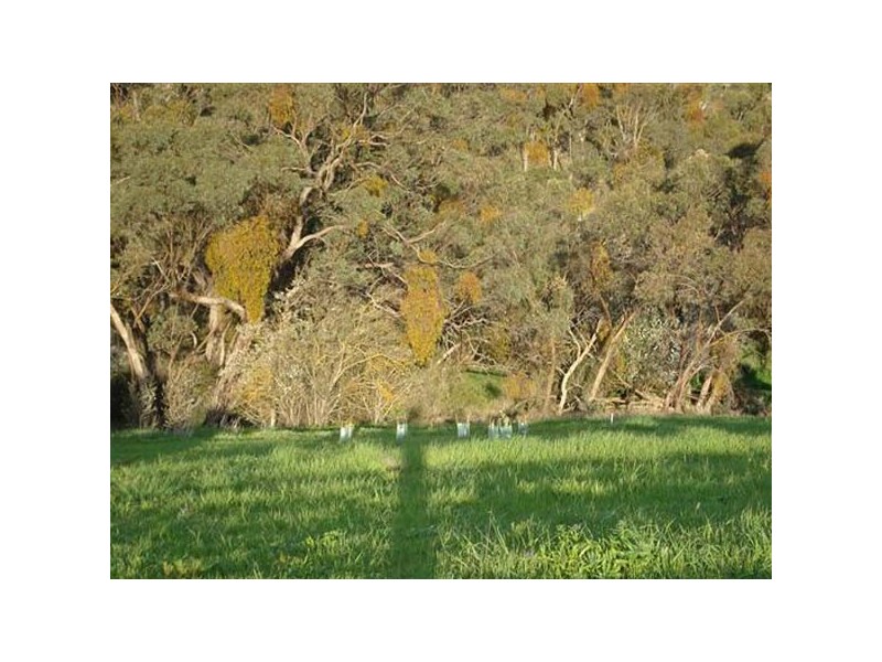 Lot 24 Tresize Way, Clare SA 5453