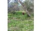 77 Sanctuary Drive, Port Lincoln SA 5606