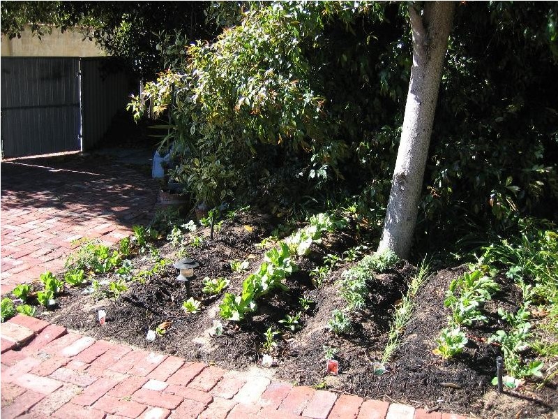 No. 102  Daglish Street, Wembley WA 6014