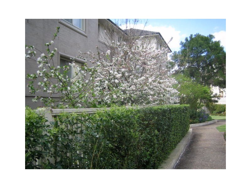 15/3 Abbotsford Cove Drive, Abbotsford NSW 2046