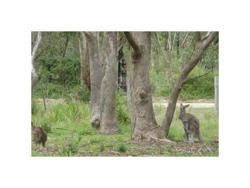 10  Centre Road, Raymond Island VIC 3880
