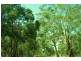 10  Centre Road, Raymond Island VIC 3880