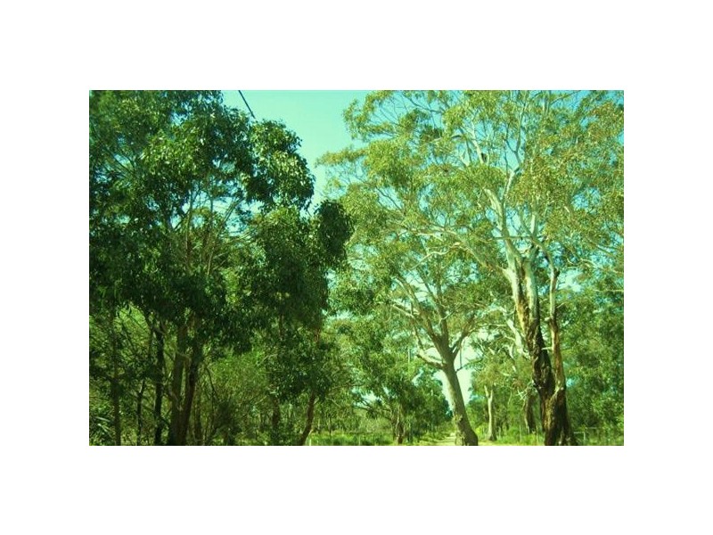 10  Centre Road, Raymond Island VIC 3880