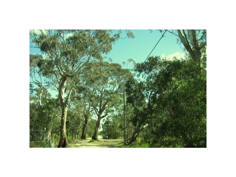 10  Centre Road, Raymond Island VIC 3880