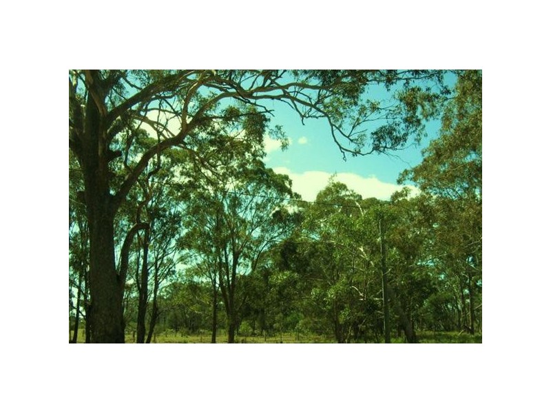 10  Centre Road, Raymond Island VIC 3880