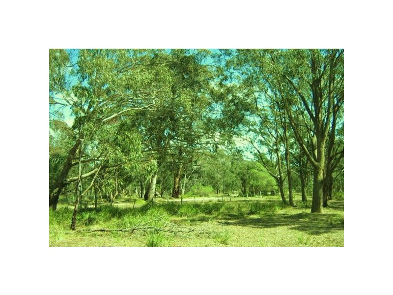 10  Centre Road, Raymond Island VIC 3880