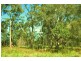10  Centre Road, Raymond Island VIC 3880