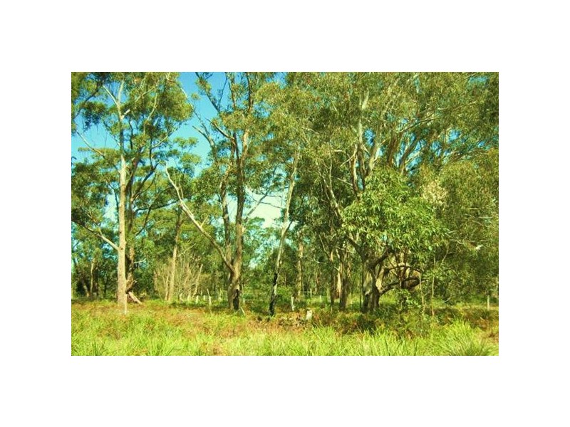 10  Centre Road, Raymond Island VIC 3880