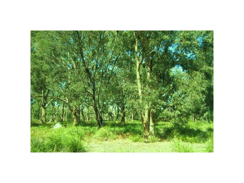 10  Centre Road, Raymond Island VIC 3880