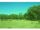 10  Centre Road, Raymond Island VIC 3880