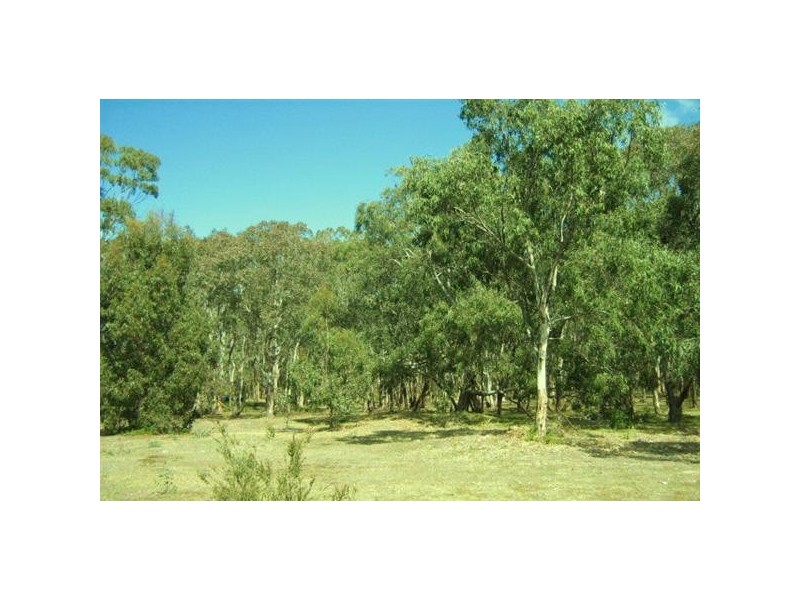 10  Centre Road, Raymond Island VIC 3880