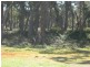 10  Centre Road, Raymond Island VIC 3880