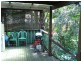 66 River Street, New Brighton NSW 2483