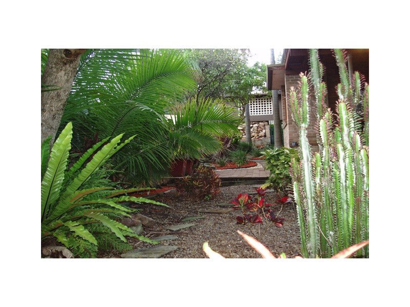 43 Grafton Ave, Naremburn NSW 2065